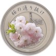 平成３０年桜の通り抜け記念メダル（銀）裏の画像