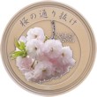 平成３０年桜の通り抜け記念メダル（銅）裏の画像