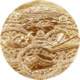国宝章牌「沖ノ島祭祀の奉献品」（金）表の画像