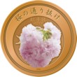 平成３１年桜の通り抜け記念メダル（銅）裏の画像