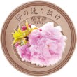 令和２年桜の通り抜け記念メダル（銅）裏の画像