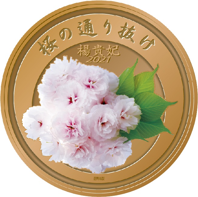 Image of 2021 Cherry Blossom Viewing Red Brass Medal Reverse