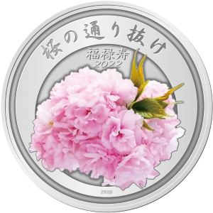 令和4年桜の通り抜け記念メダル（銀）裏の画像