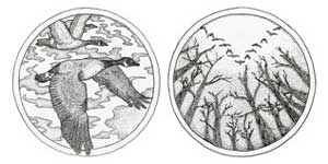 Image of Design of The Wild Goose