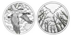 Image of Design of The Wild Goose