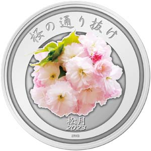 Image of 2023 Cherry Blossom Viewing Silver Medal Reverse