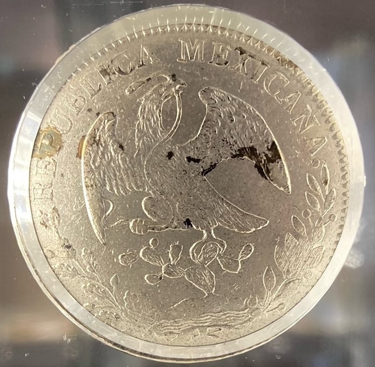 メキシコドルの展示写真