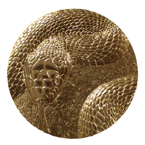 Image of 2025 Oriental Zodiac Pure Gold Medal (DRAGON) Obverse