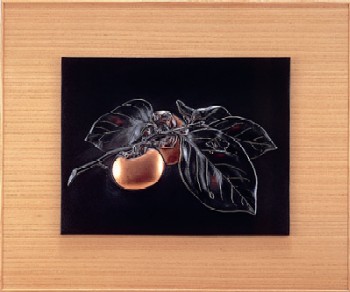 Image of Persimmon Fruit left side