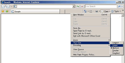 Image of Internet Explorer 7.0