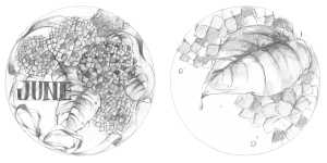 三尾　希氏作成の図案の画像